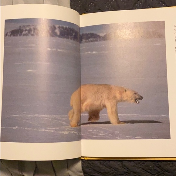 Educational Book - Picture 3 of 3